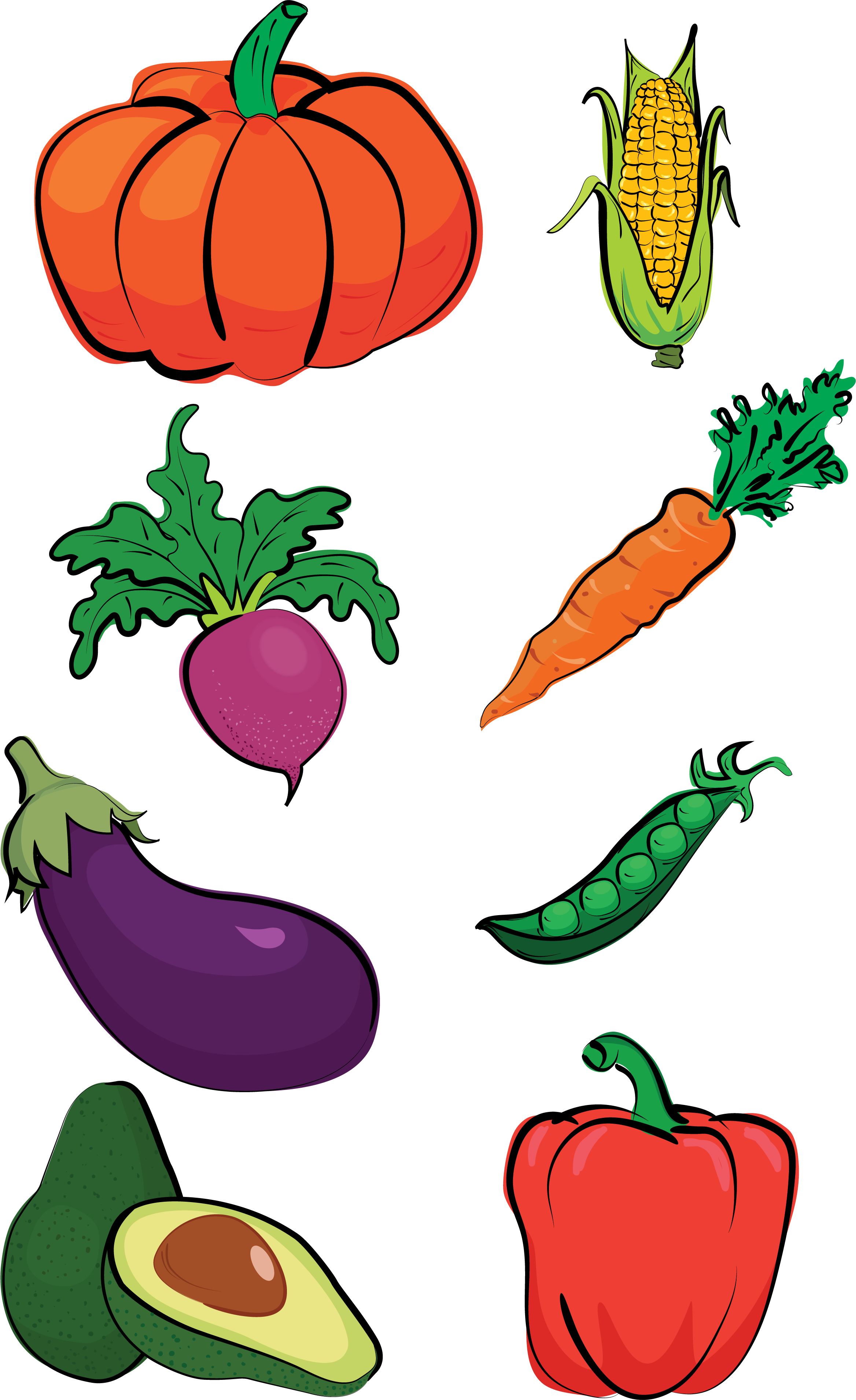 illustration of vegetables